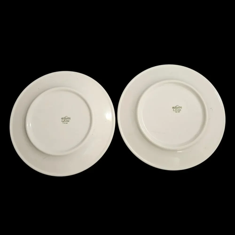 Iroquois China set two